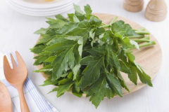 明日葉真的能治療高血壓嗎 ？