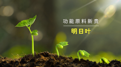 李時珍:明日葉含有類黃酮、膽堿、香豆素等多種活性成分